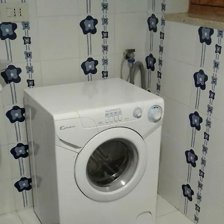 Ortensia Blu * בוסטו פאליצולו